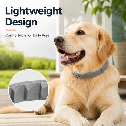 Lightweight Everyday Dog Collar - Adjustable, Fresh-Scented & Built to Last