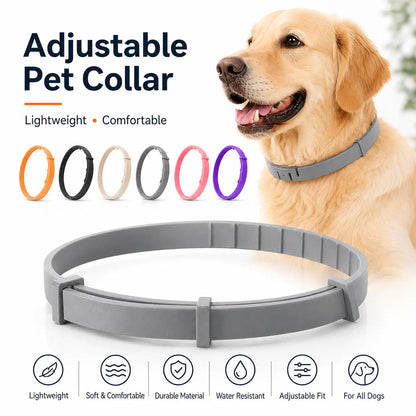 Lightweight Everyday Dog Collar - Adjustable, Fresh-Scented & Built to Last