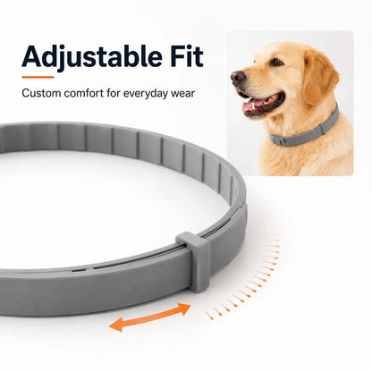 Lightweight Everyday Dog Collar - Adjustable, Fresh-Scented & Built to Last