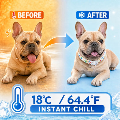 Reusable Pet Cooling Collar, 64°F PCM Ice Ring for Dogs & Cats, No Condensation Sweat-Free Dog Neck Ring, Fast Freeze Instant Heat Relief Neck Wrap for Summer Outdoor Walking, Travel & Anti-Heatstroke, Safe Premium TPU Chill Loop for Puppy & Large Dogs