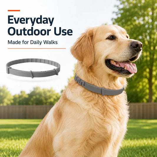 Lightweight Everyday Dog Collar - Adjustable, Fresh-Scented & Built to Last
