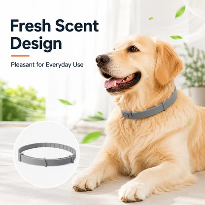 Lightweight Everyday Dog Collar - Adjustable, Fresh-Scented & Built to Last