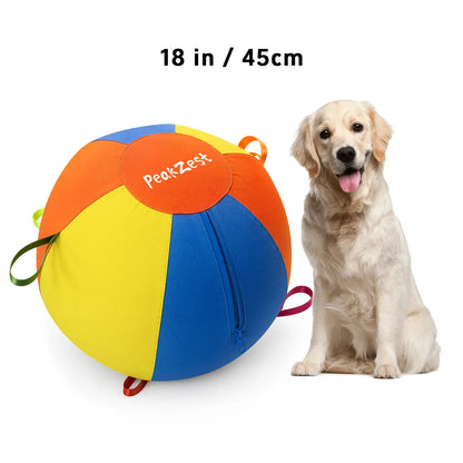 Interactive Herding Ball for Dogs, Bite Resistant Inflatable Dog Ball Set with Cover and Pump, Outdoor Exercise Toy Gift
